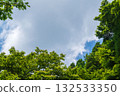 Summer sky: Blue sky, clouds and mountain trees seen from the summer mountains 75 132533350