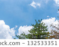 Summer sky: Blue sky, clouds and trees seen from the summer mountains 34 132533351