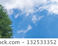 Summer sky: Blue sky, clouds and trees seen from the summer mountains 35 132533352