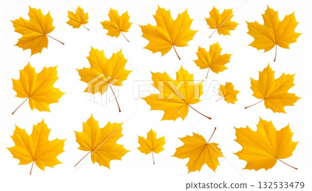 Colorful maple leaves on an autumn background Colorful maple leaves on an autumn background 132533479