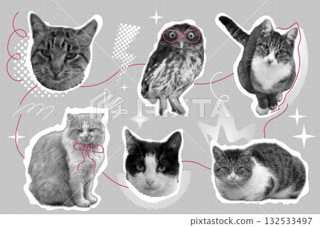 Cat halftone collage sticker set, trendy retro y2k pet, funky emoticon animal, pop aesthetic. Meme head with speech bubble. Funny kitty. Cat halftone collage sticker set, trendy retro y2k pet, funky emoticon animal, pop aesthetic. Meme head with speech bubble. Funny kitty. 132533497