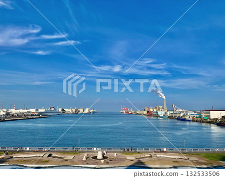 Bay Bridge seen from a hill park with a view of the harbor 132533506