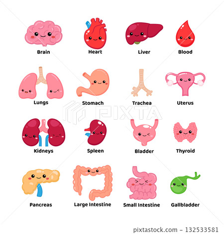 Cute Cartoon Human Organs Collection clipart for kids education Cute Cartoon Human Organs Collection clipart for kids education 132533581