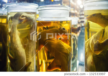 Preserved marine specimens displayed in glass jars filled with yellow fluid create surreal scientific atmosphere. Museum lighting highlights anatomy details and research collection environment 132533997