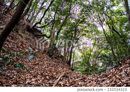 Winter ruins of Kanakawa Castle, large moat north of Kitanomaru 5, Kita Ward, Okayama City, Okayama Prefecture 132534323