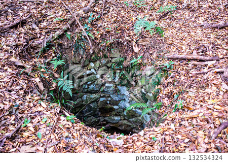 冬日岡山縣岡山市北區白井金川城遺址 132534324