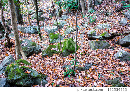 Winter at the ruins of Kanagawa Castle. Fallen stones on the cliffs of the Demaru. Kita Ward, Okayama City, Okayama Prefecture. Winter at the ruins of Kanagawa Castle. Fallen stones on the cliffs of the Demaru. Kita Ward, Okayama City, Okayama Prefecture. 132534333