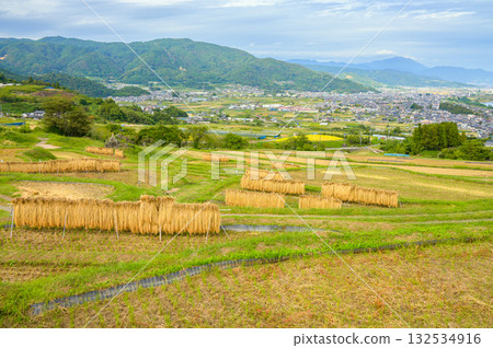 The scenery of rice racks and the Zenkoji Plain below [Obasute Rice Terraces] 132534916