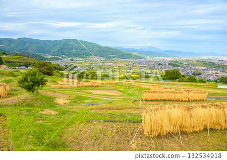 The scenery of rice racks and the Zenkoji Plain below [Obasute Rice Terraces] 132534918