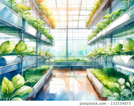 水耕溫室與葉菜蔬菜景觀 | 永續智慧農業水彩插畫 132534973