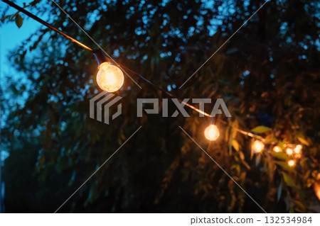Warm string lights outdoors at dusk with tree background Warm string lights outdoors at dusk with tree background 132534984