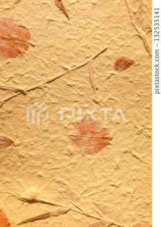 Vintage brown natural mulberry paper with visible grass and leaves Vintage brown natural mulberry paper with visible grass and leaves 132535141