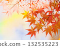Orange maple leaves 132535223