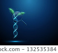Green plant leaves growing from a blue 3D DNA helix under a magnifying glass. Sustainable agriculture, trait optimization, quality control concept. 132535384