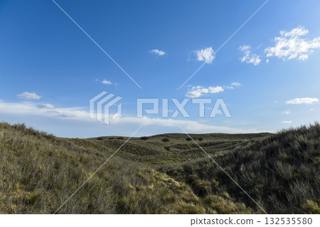 Pampas grass landscape, La Pampa province, Patagonia, Argentina. Pampas grass landscape, La Pampa province, Patagonia, Argentina. 132535580