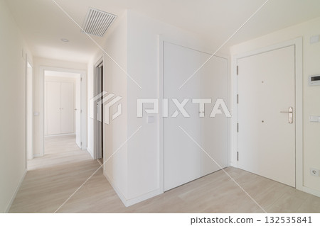 A modern hallway with white walls and doors. The floor is light wood. The space is bright and minimalistic, showcasing contemporary interior design. 132535841