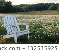 Weathered white adirondack chair sitting among blooming daisies, bathed in warm sunset light, offering peaceful landscape with serene countryside ambiance 132535925