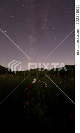 A shooting star streaking over a cosmos field and a fantastic starry sky (vertical) A shooting star streaking over a cosmos field and a fantastic starry sky (vertical) 132536033