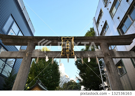 靜岡縣，秋日清晨，小澄神社的鳥居 132536163