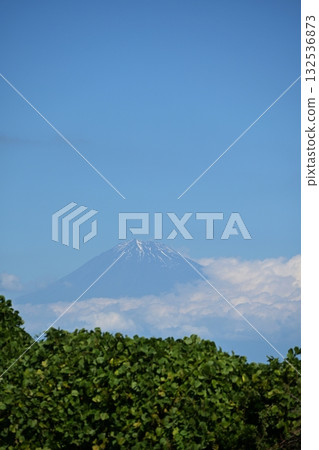 從靜岡縣日本平眺望富士山 132536873
