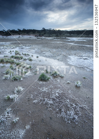 Saltpeter on the floor of a lagoon in a semi desert environment, La Pampa province, Patagonia, Argentina. 132536947