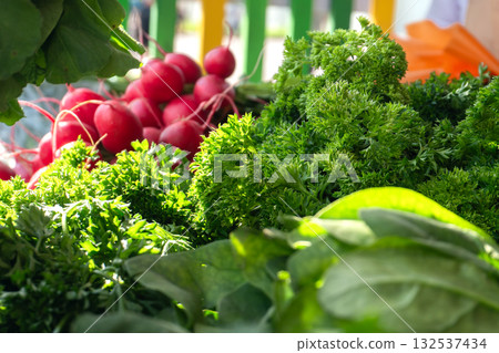 Fresh greens on the store counter close-up Fresh greens on the store counter close-up 132537434
