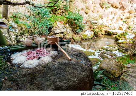 Flower water basin and garden at Yokokuji Temple 132537465