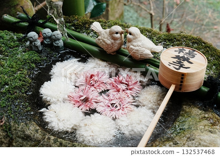 菊花漂浮在花房裡 132537468