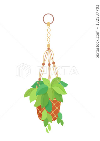 House plant in hanging macrame pot. Home green garden. Vector illustration of tropical flowers in hanger. Cute beautiful handmade home or office decoration House plant in hanging macrame pot. Home green garden. Vector illustration of tropical flowers in hanger. Cute beautiful handmade home or office decoration 132537703