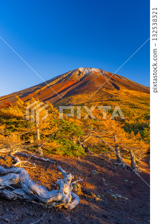 【山梨縣】富士山-初雪覆蓋大地,內庭落葉繽紛-傍晚景色 【山梨縣】富士山-初雪覆蓋大地,內庭落葉繽紛-傍晚景色 132538321