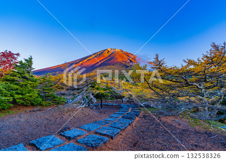 【山梨縣】富士山－初雪覆蓋大地，內庭落葉繽紛－傍晚景色 132538326