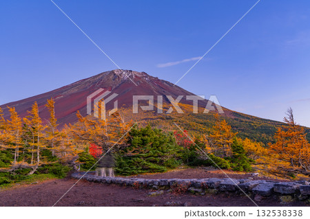 【山梨縣】富士山－初雪覆蓋大地，內庭落葉繽紛－傍晚景色 132538338