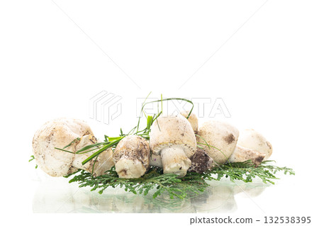 White champignons on clean white background 132538395