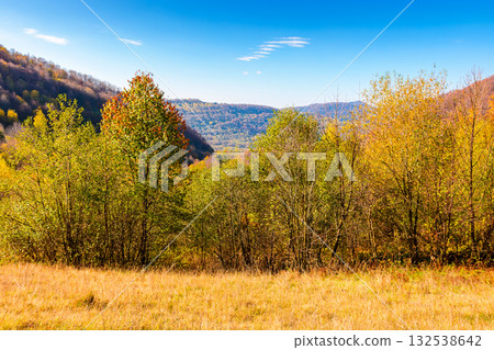 transcarpathia landscape with autumn forest. uzhanian national nature park with birch trees in colorful foliage. clouds on sky above mountains in ukraine. horizontal travel background on a sunny day transcarpathia landscape with autumn forest. uzhanian national nature park with birch trees in colorful foliage. clouds on sky above mountains in ukraine. horizontal travel background on a sunny day 132538642