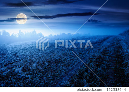 autumn landscape with dirt road through rural field in hoarfrost and fog at night. beautiful view of a countryside in mountains in full moon light. frosty weather. abandoned area needs investment 132538644