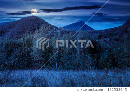 landscape with autumn forest at night. nature park with birch and beech trees in colorful foliage. clouds on sky above mountains. horizontal mystery background in full moon light 132538645