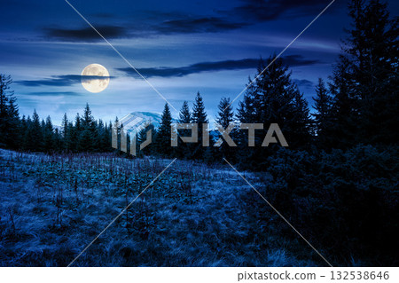 fir trees on a meadow at night. scenic landscape with coniferous forest in mountains under starry sky in full moon light. mysterious alpine scenery with silhouettes for halloween background 132538646