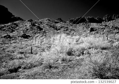 Monochrome Sonoran Desert Arizona Picacho Peak State Park 132539027