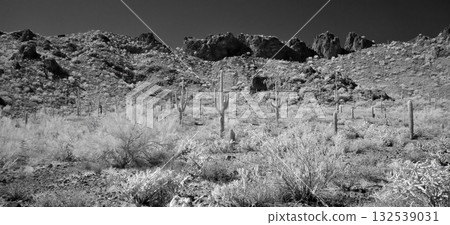 Monochrome Sonoran Desert Arizona Picacho Peak State Park Monochrome Sonoran Desert Arizona Picacho Peak State Park 132539031