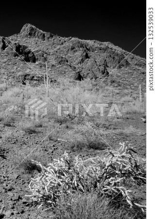 Monochrome Sonoran Desert Arizona Picacho Peak State Park 132539033