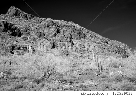 Monochrome Sonoran Desert Arizona Picacho Peak State Park 132539035