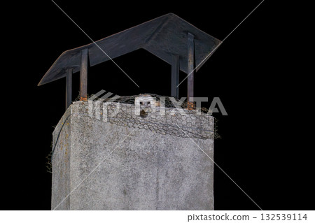 Owl Peeking from Chimney Top at Night 132539114
