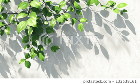 翠綠的樹葉和白色的牆面背景,光影變幻莫測 翠綠的樹葉和白色的牆面背景,光影變幻莫測 132539161