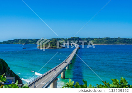 在山口縣下關市,角島大橋在蔚藍的大海映襯下格外醒目。 在山口縣下關市,角島大橋在蔚藍的大海映襯下格外醒目。 132539362