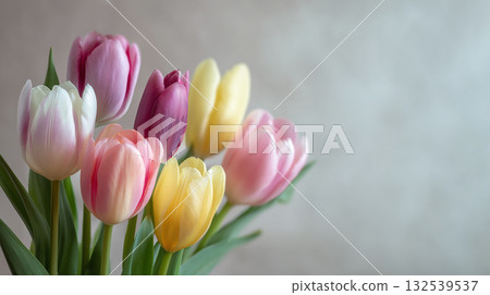 Spring pastel colored tulip bouquet with gentle light background and copy space (celebration, seasonal) 132539537