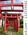 A path lined with vermilion torii gates - a space of Japanese tradition and mystery 132539982