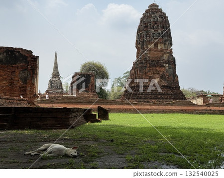 Pagodas, ruins and a sleeping stray dog 132540025
