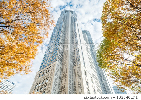 "Tokyo" Autumn scenery of Nishi-Shinjuku, Shinjuku Ward 132540171