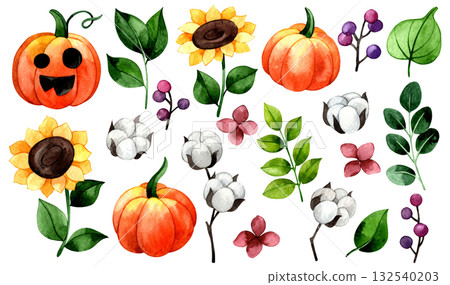 Cute watercolor set with Halloween pumpkins and flowers. Cartoon illustration Cute watercolor set with Halloween pumpkins and flowers. Cartoon illustration 132540203