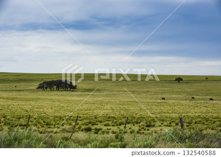 Landescape,sunset.La Pampa Argentina 132540588